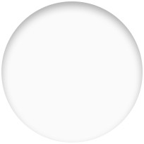 White White